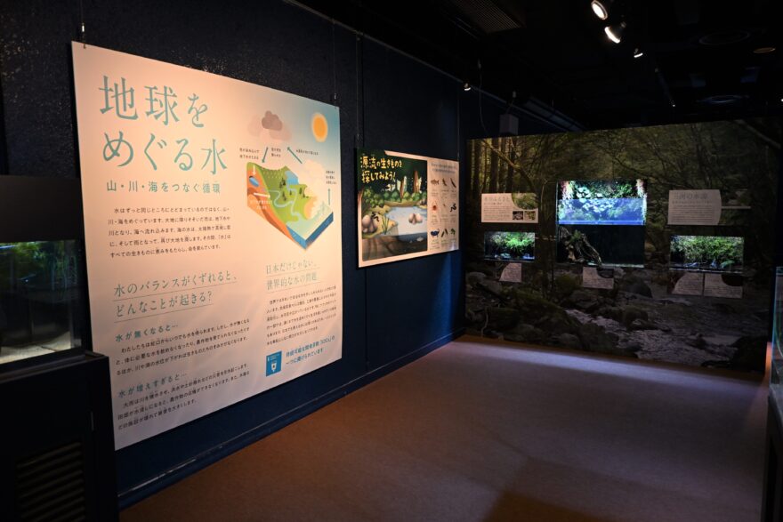 「地球をめぐる水」として山・川・海がどのようにつながっているのかを紹介した画像