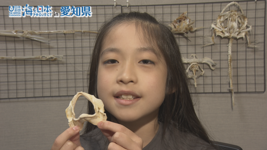 「魚の骨はかわいい！かっこいい！」愛知の小学5年生がリポートします！