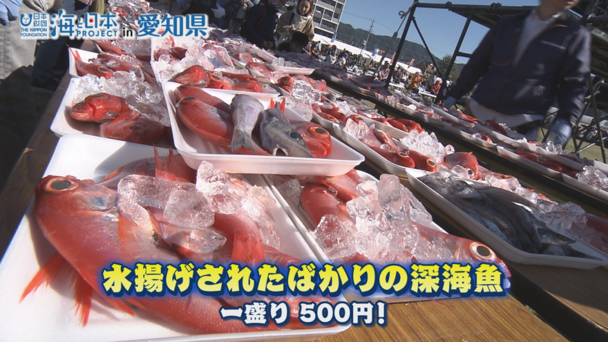 1盛り500円！　新鮮な深海魚をセリ落とす　「深海魚まつり」が大盛況　蒲郡市