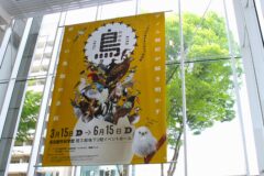 名古屋市科学館で開催中の「鳥展」　藤前干潟に飛来する水鳥の標本も展示！