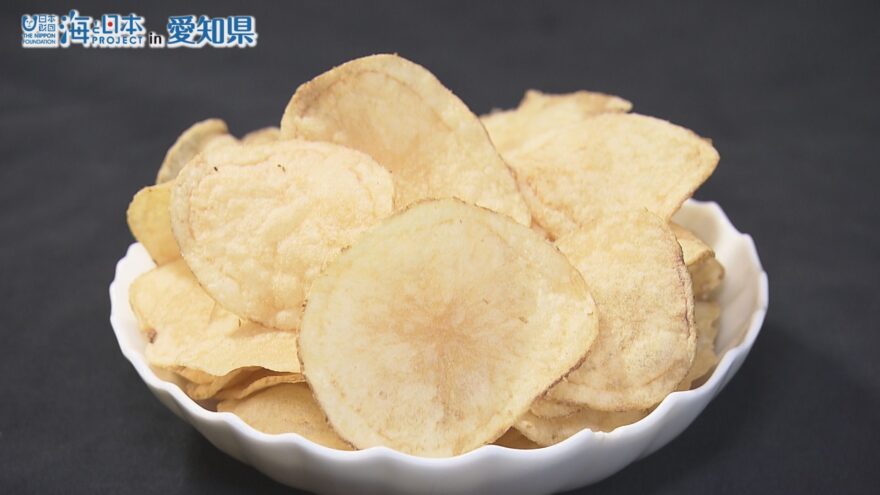 小学生のアイデアがポテチに！蒲郡の特産品・メヒカリのお菓子「がまごおりポテトチップ メヒカリパン★チ味」