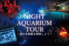 南知多ビーチランドで夜の生きものを観察！　「ナイトアクアリウムツアー」でウミホタルの発光実験も楽しめる