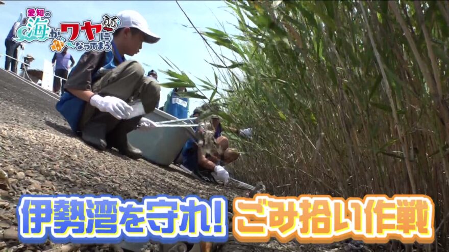 深刻な海の環境変化…このままでは「愛知の海がワヤになってまう！」小学生レンジャーとAMEMIYA隊長が藤前干潟でごみ拾い作戦を決行！8/11（月・祝）番組を放送します！